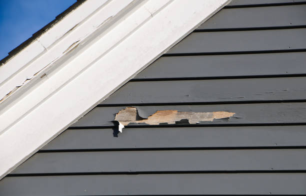 Best Wood Siding Installation  in Advae, NC